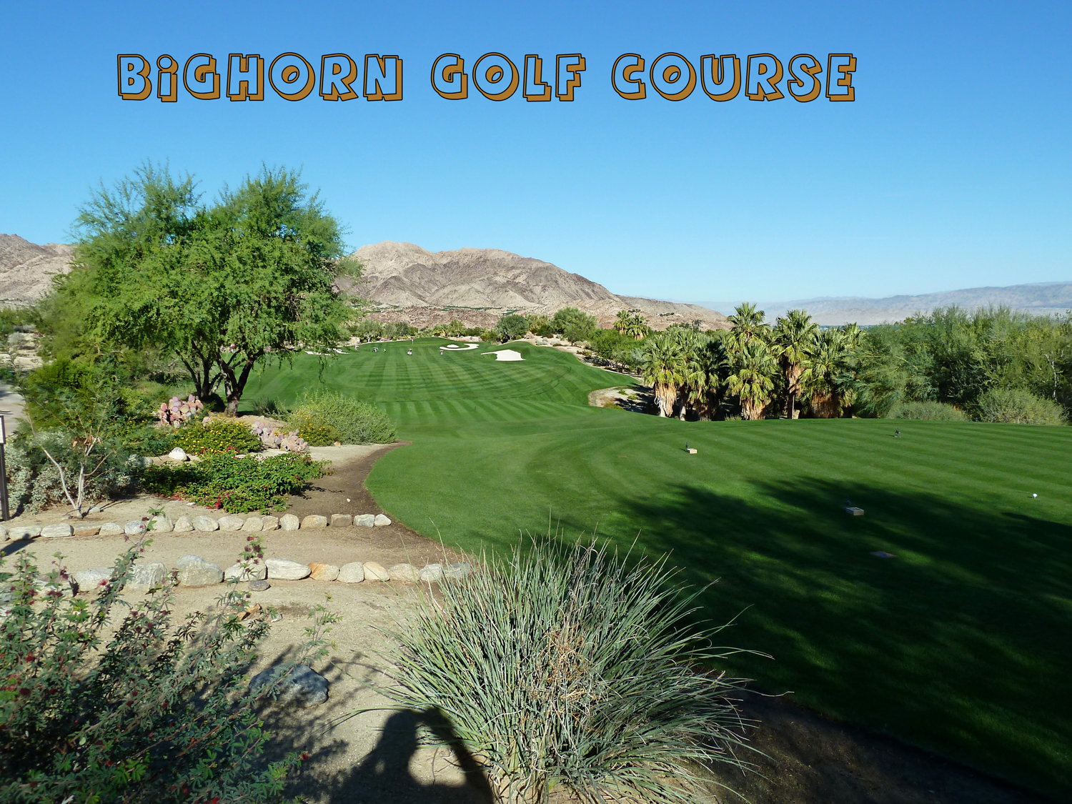 Another Day Of Golf In The Desert